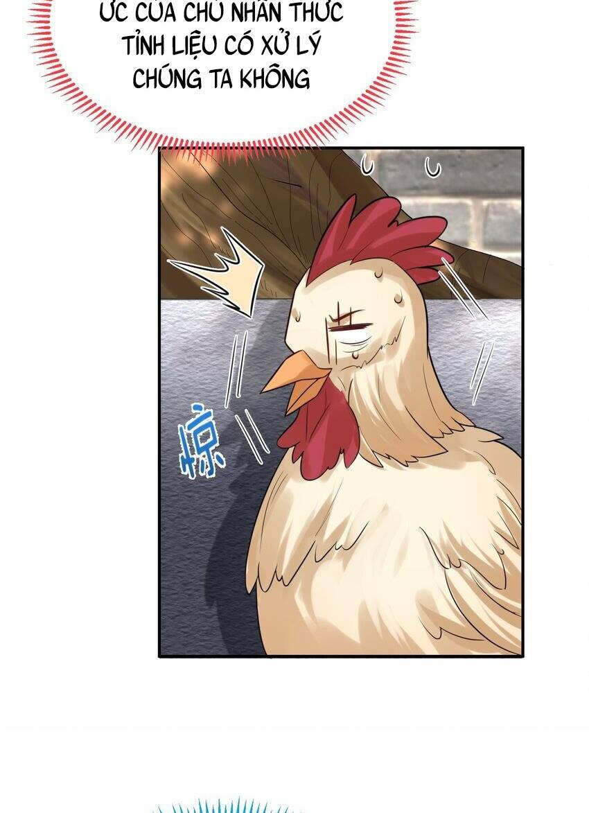 Ta Vô Địch Lúc Nào - Chapter 121 - Page 33