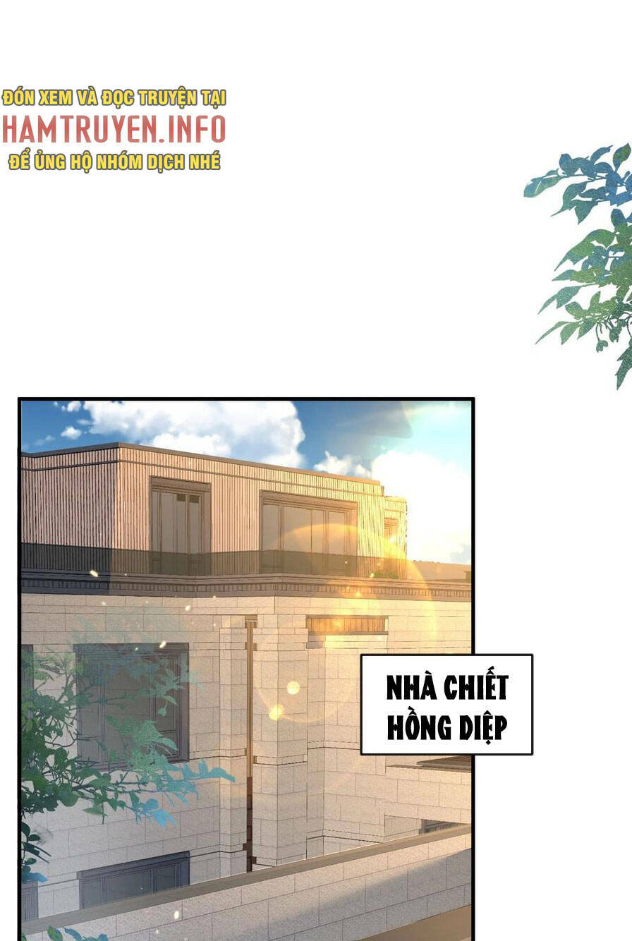Ta Vô Địch Lúc Nào - Chapter 174 - Page 13