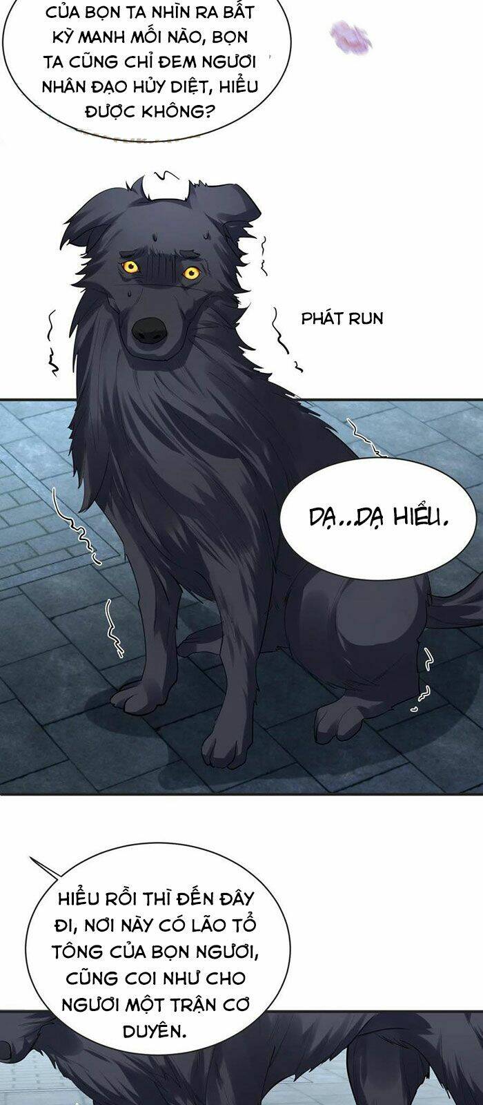 Ta Vô Địch Lúc Nào - Chapter 37 - Page 11