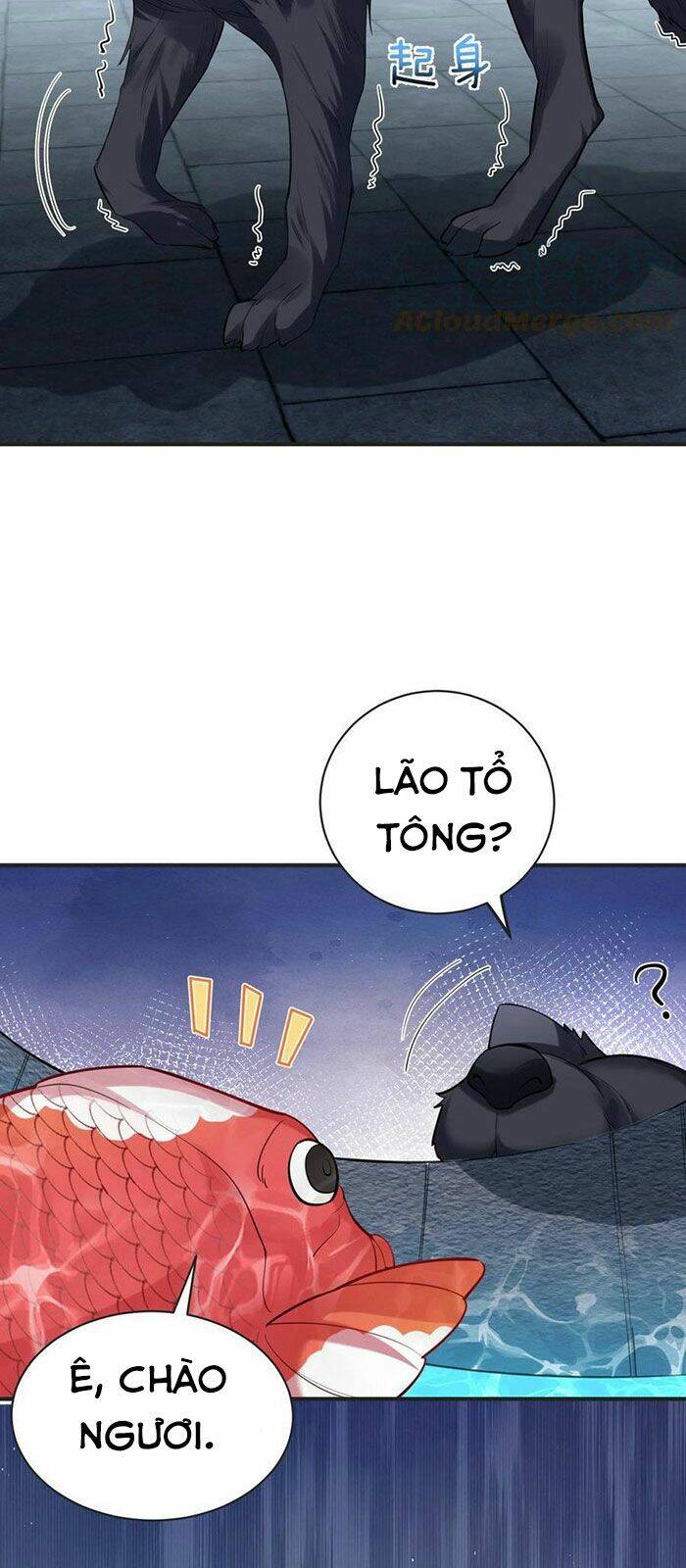 Ta Vô Địch Lúc Nào - Chapter 37 - Page 12