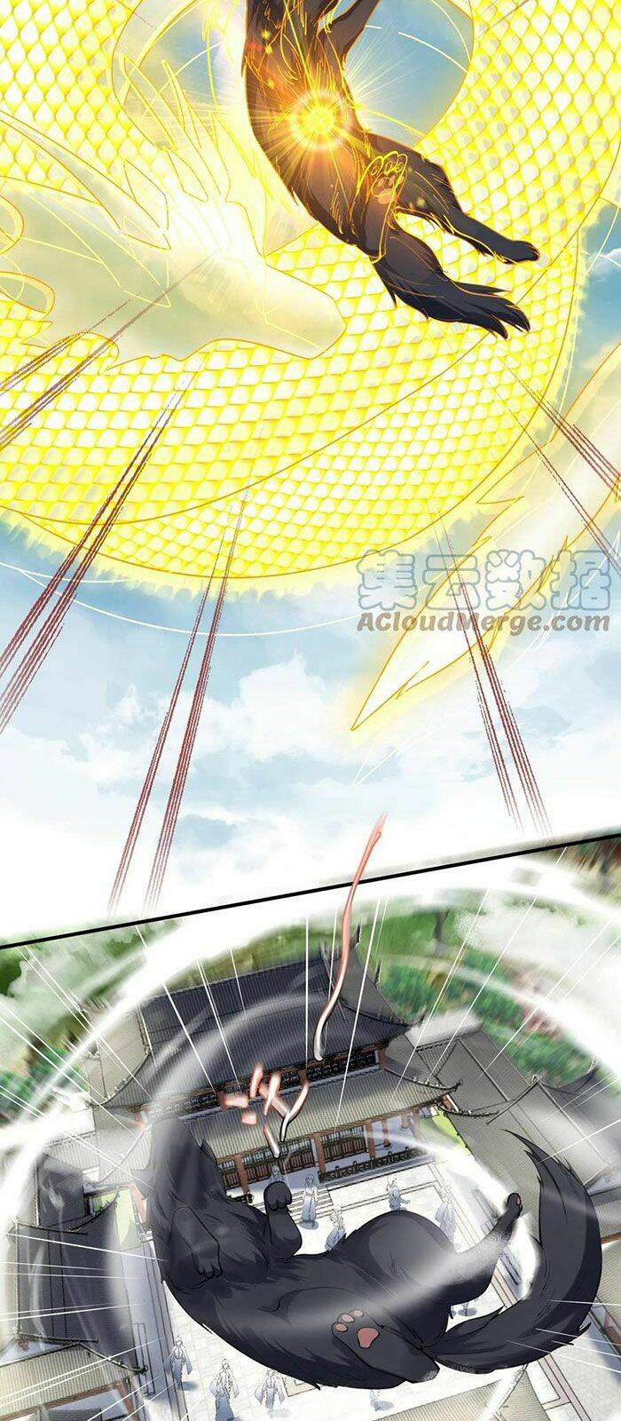 Ta Vô Địch Lúc Nào - Chapter 47 - Page 19