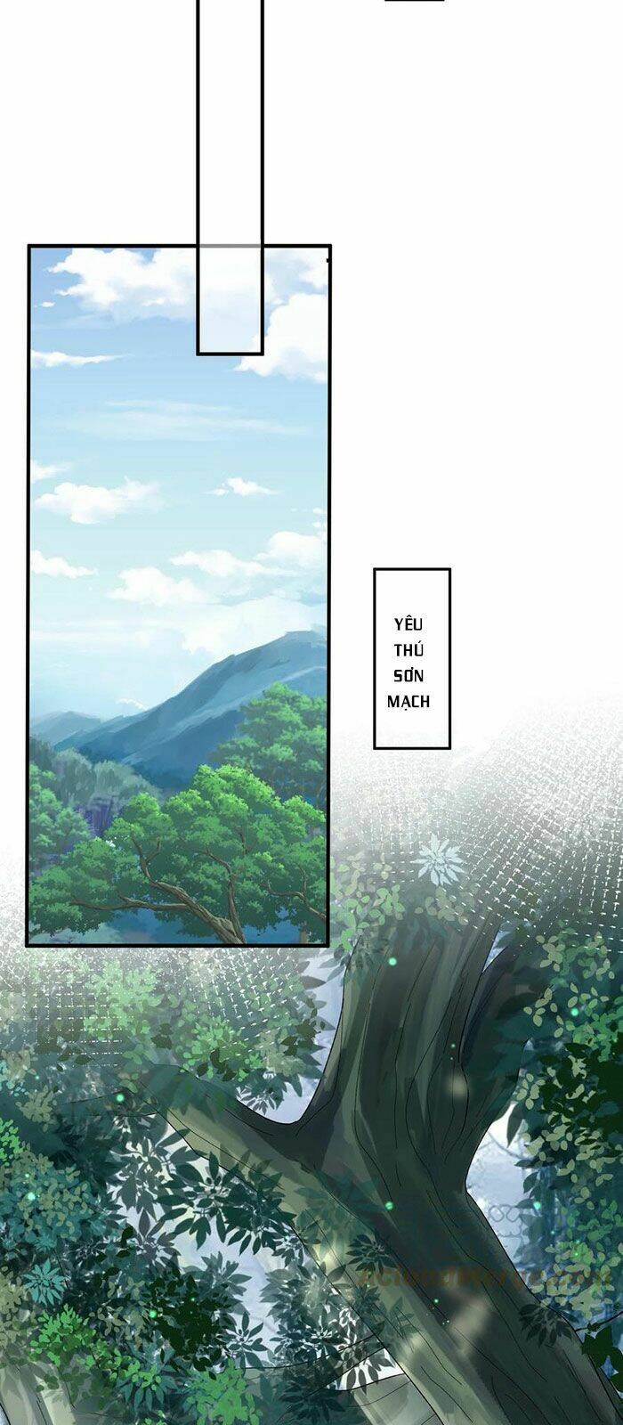 Ta Vô Địch Lúc Nào - Chapter 52 - Page 12