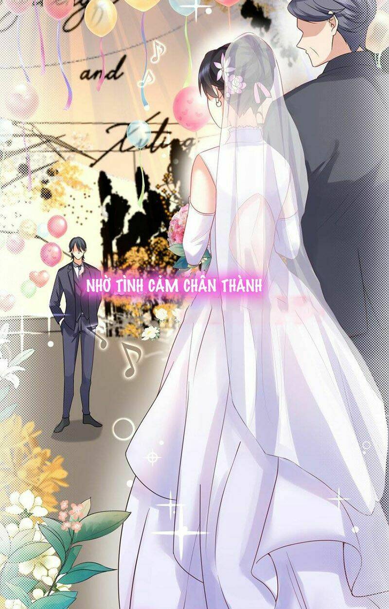 Ta Vô Địch Lúc Nào - Chapter 77 - Page 4