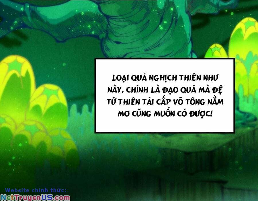 Vạn Cổ Chí Tôn - Chapter 256 - Page 33