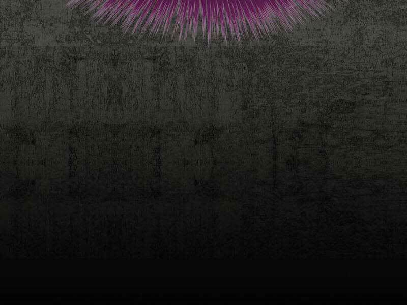 Thợ Rèn Huyền Thoại Chapter 162 - Trang 185