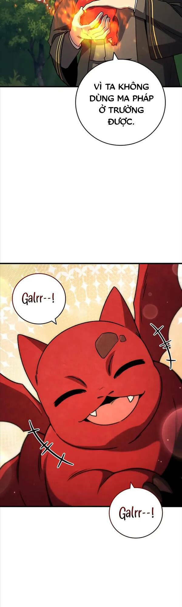 Thực Long Ma Pháp Sư - Chapter 21 - Page 24