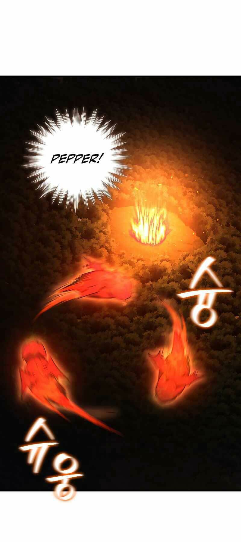 Thực Long Ma Pháp Sư - Chapter 23 - Page 64