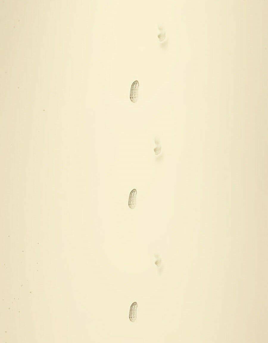 Để Có Thể Sống Sót - Chapter 1 - Page 60