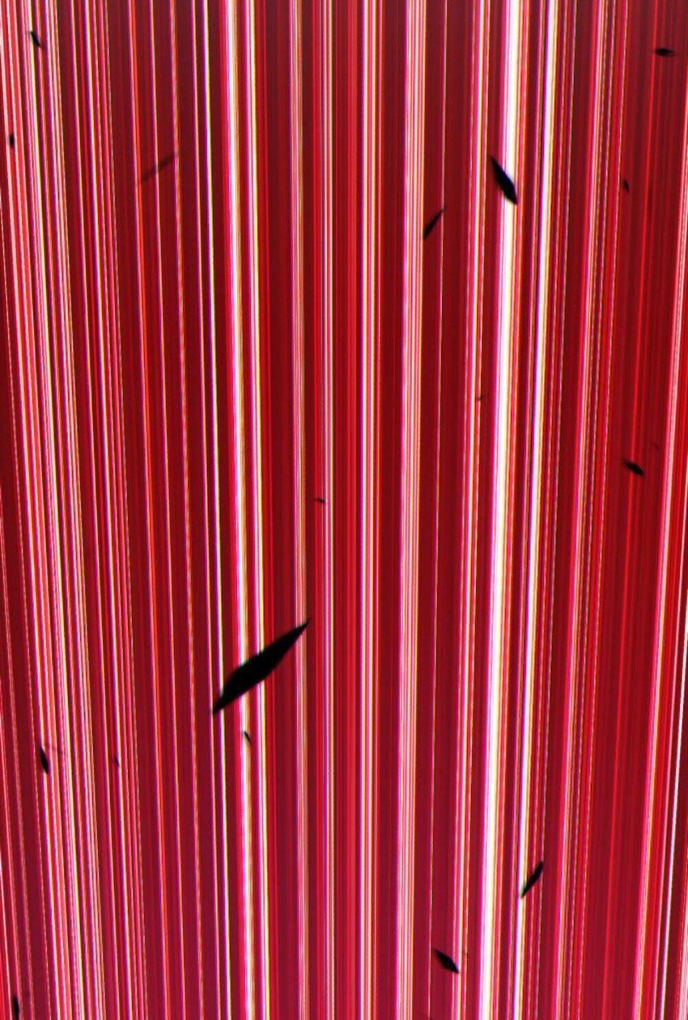 Gậy Gỗ Cấp 99+ - Chapter 11 - Page 13