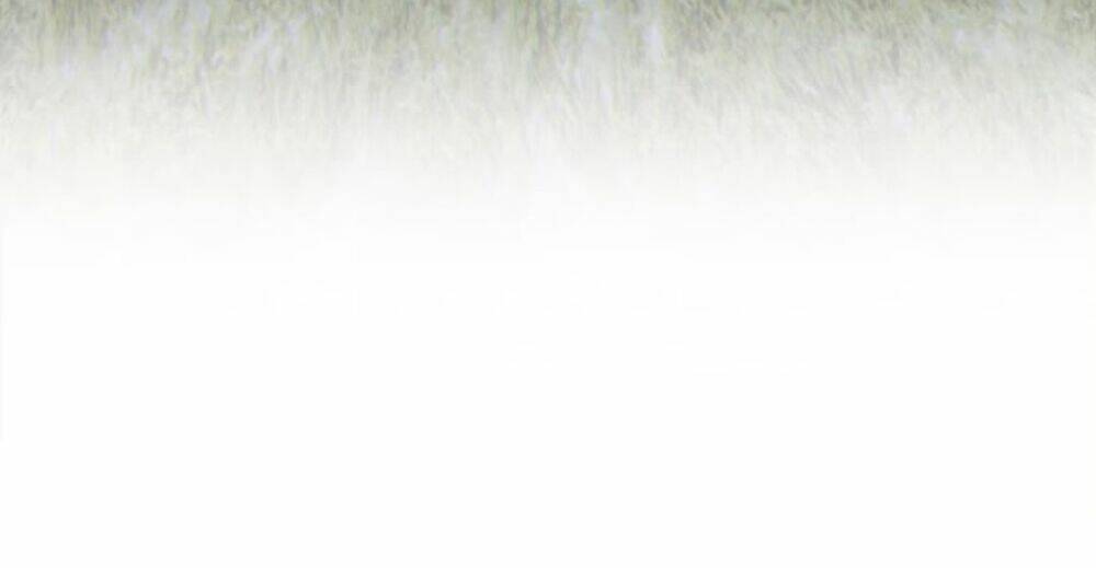 Gậy Gỗ Cấp 99+ - Chapter 11 - Page 17