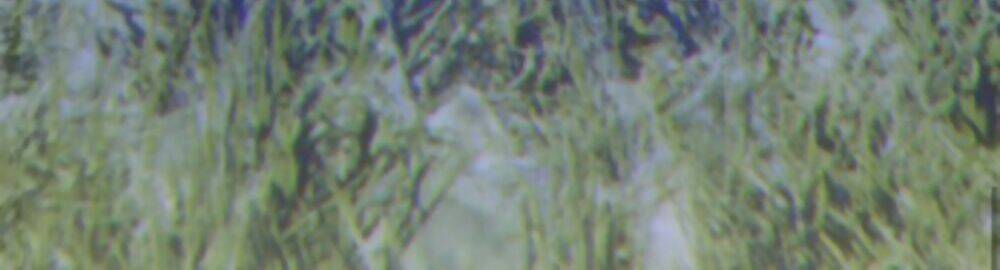 Gậy Gỗ Cấp 99+ - Chapter 11 - Page 27