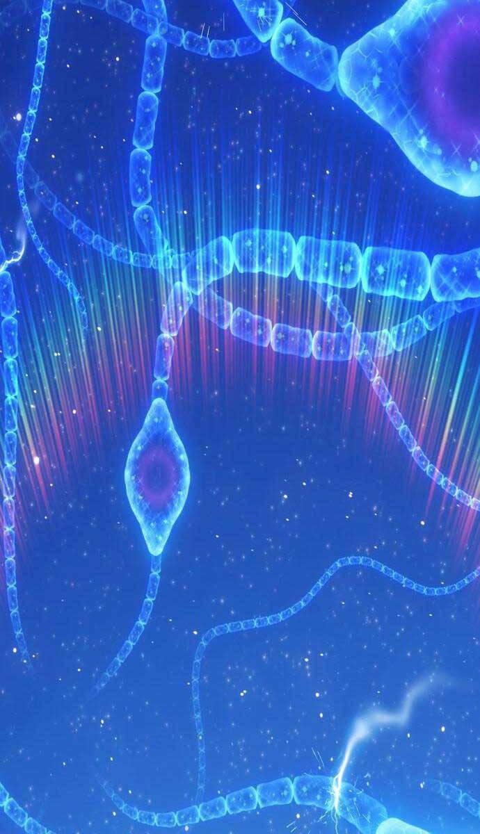 Gậy Gỗ Cấp 99+ - Chapter 64.4 - Page 70