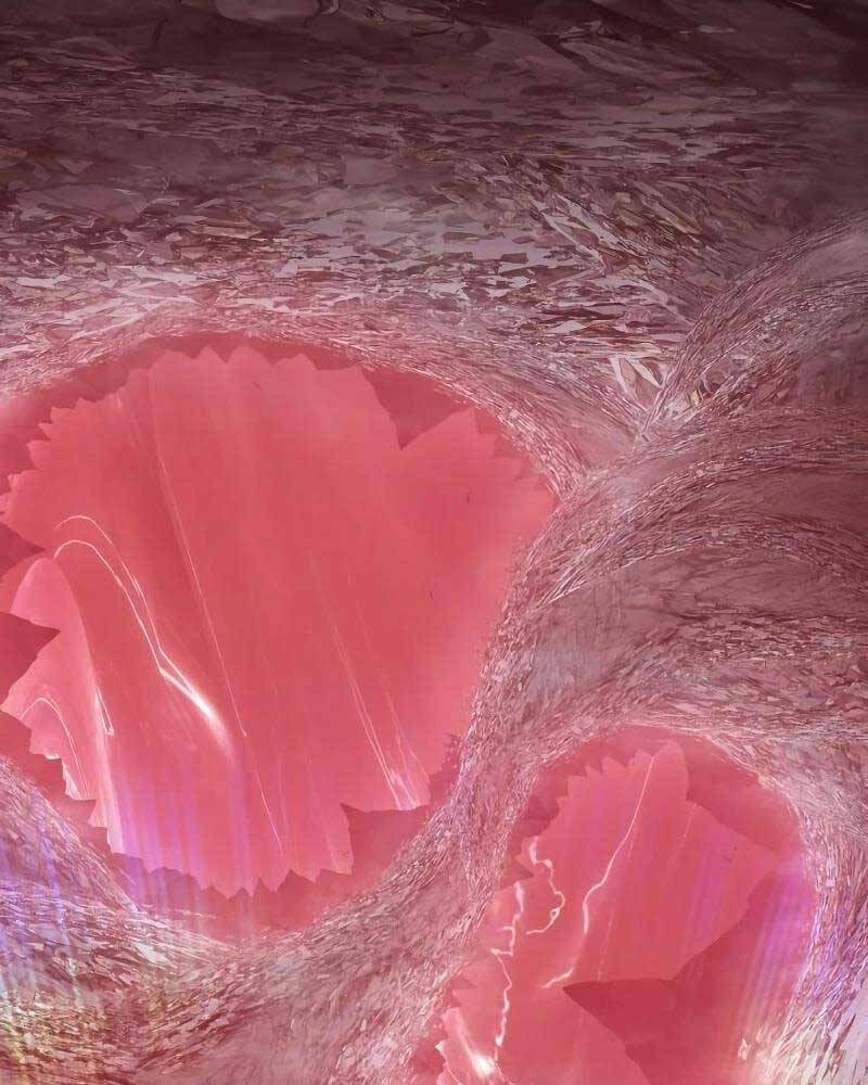 Gậy Gỗ Cấp 99+ - Chapter 82 - Page 177