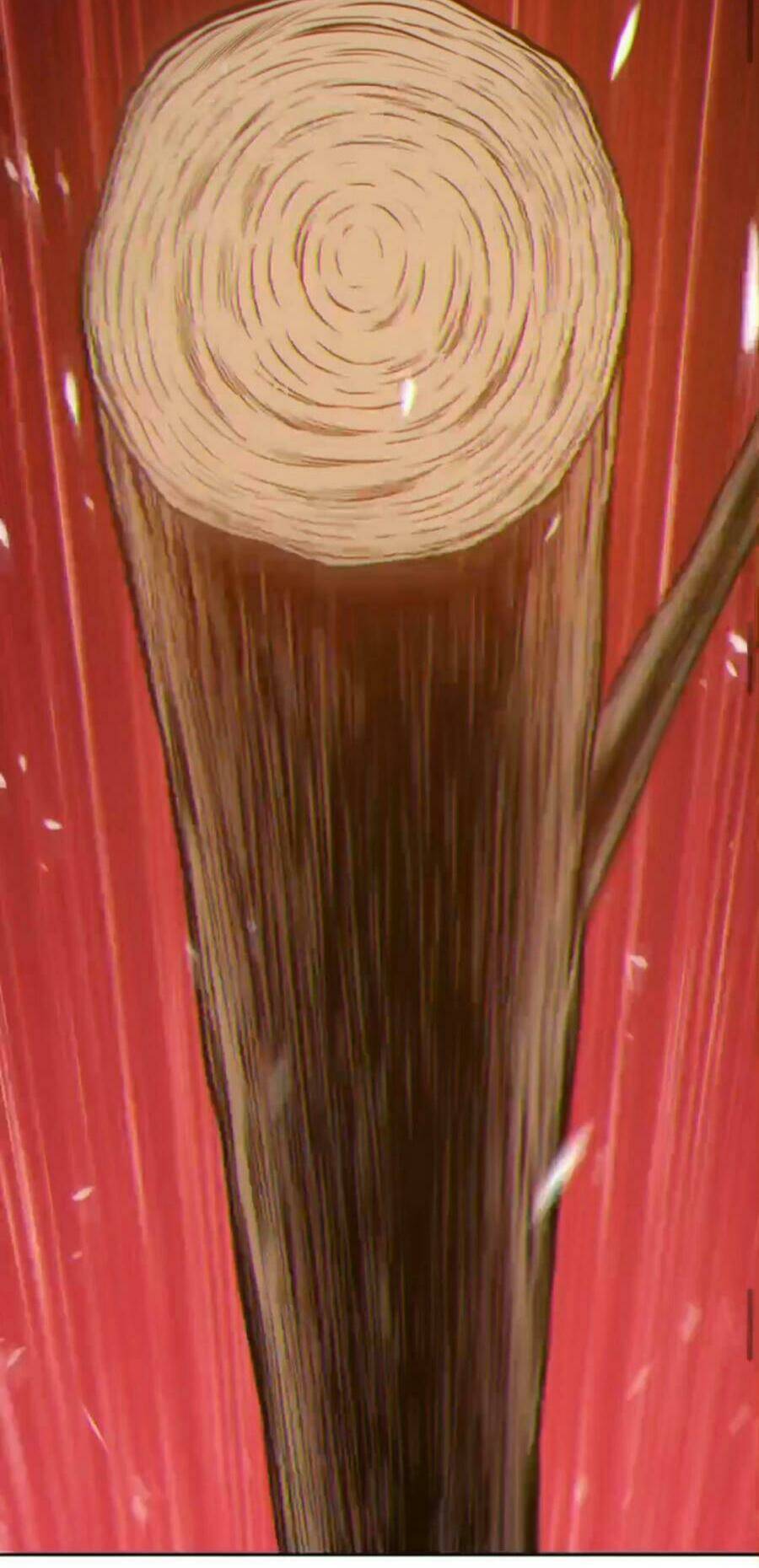 Gậy Gỗ Cấp 99+ - Chapter 9.5 - Page 13