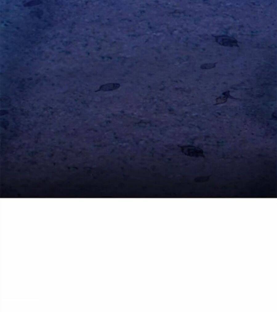 Gậy Gỗ Cấp 99+ - Chapter 9 - Page 11