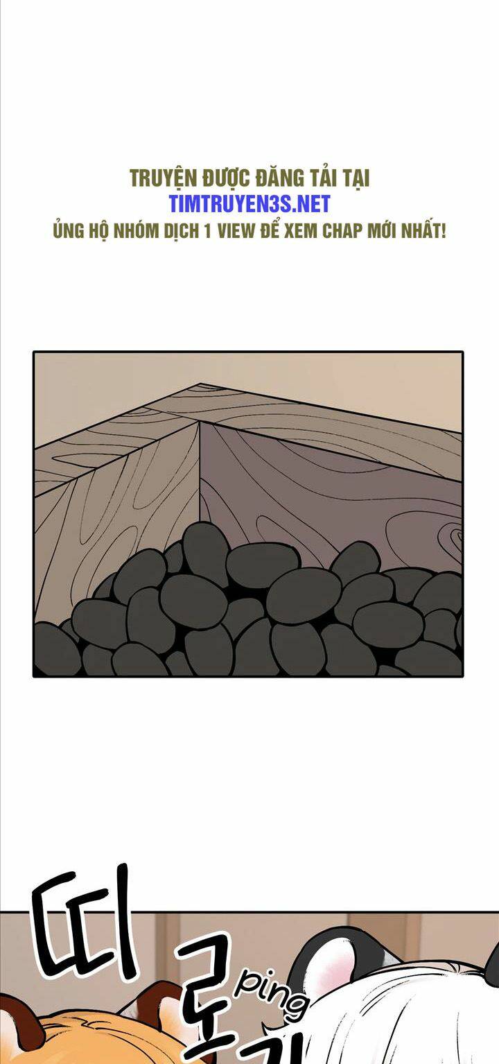 Hổ Đến Chơi Nhà - Chapter 50 - Page 15