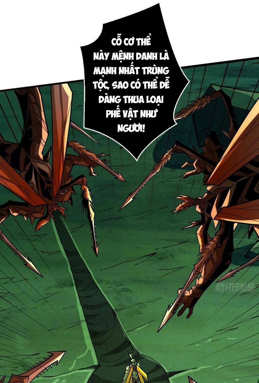 Vừa Chơi Đã Có Tài Khoản Vương Giả - Chapter 157 - Page 22