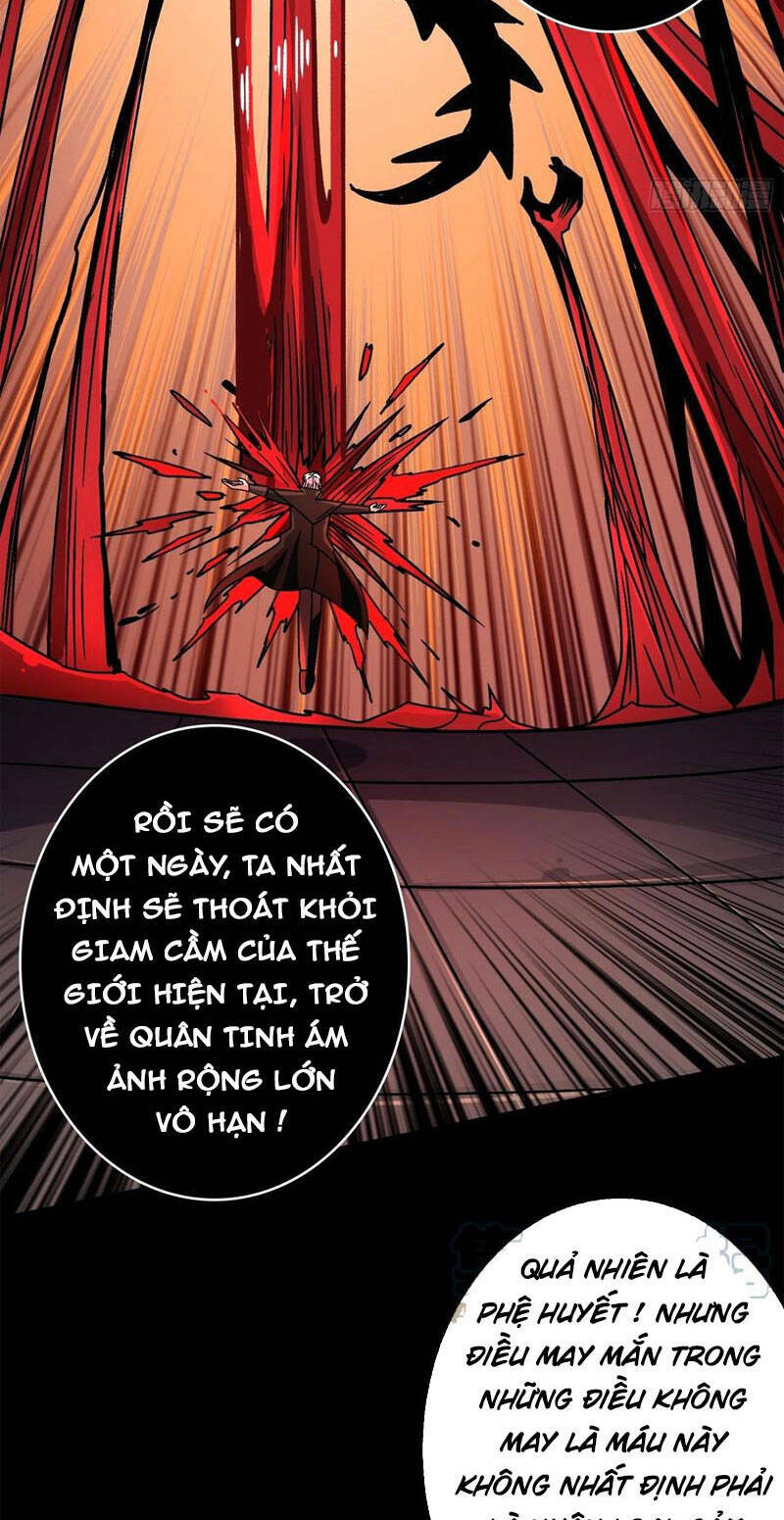 Vừa Chơi Đã Có Tài Khoản Vương Giả - Chapter 226 - Page 22