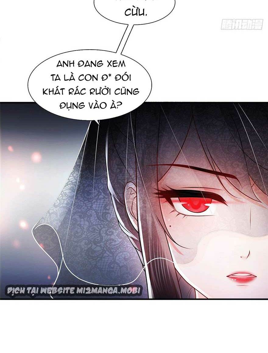 Hệt Như Hàn Quang Gặp Nắng Gắt Chapter 104 - Trang 24