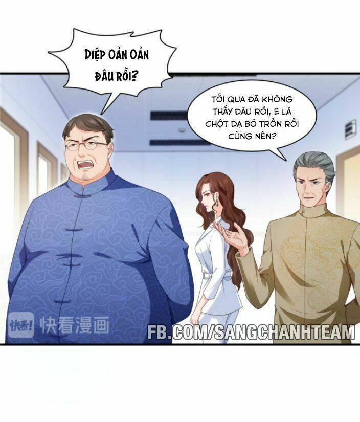 Hệt Như Hàn Quang Gặp Nắng Gắt Chapter 181 - Trang 5