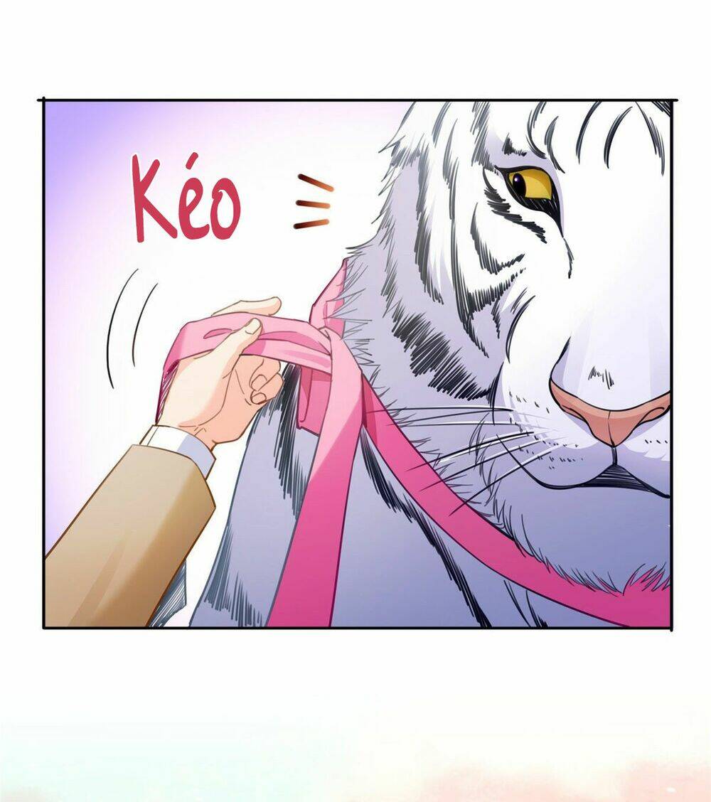 Hệt Như Hàn Quang Gặp Nắng Gắt Chapter 208 - Trang 14