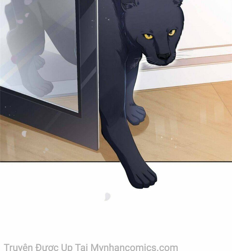 Hệt Như Hàn Quang Gặp Nắng Gắt Chapter 277 - Trang 27