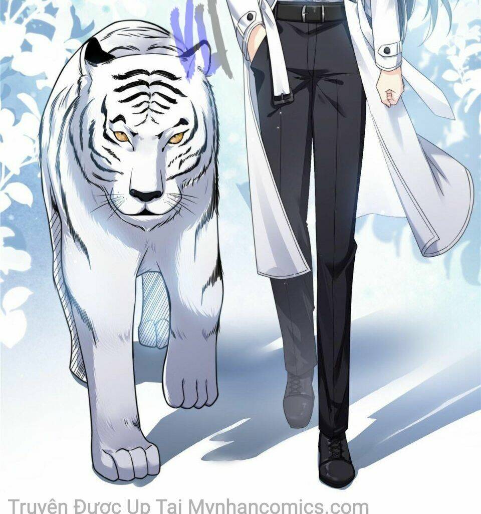 Hệt Như Hàn Quang Gặp Nắng Gắt Chapter 277 - Trang 35