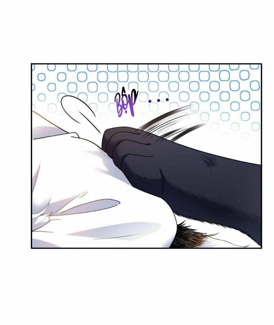 Hệt Như Hàn Quang Gặp Nắng Gắt - Chapter 281 - Page 3