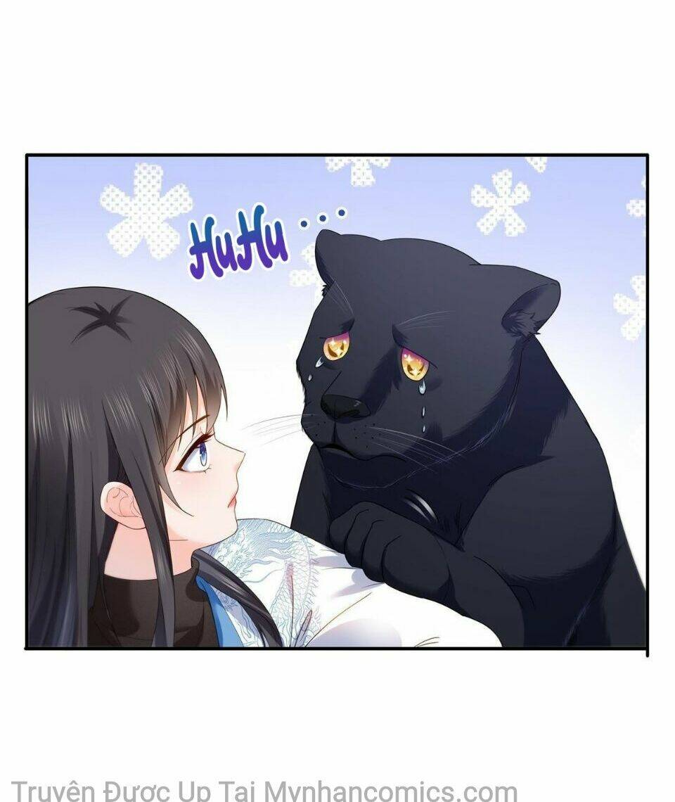 Hệt Như Hàn Quang Gặp Nắng Gắt - Chapter 281 - Page 4