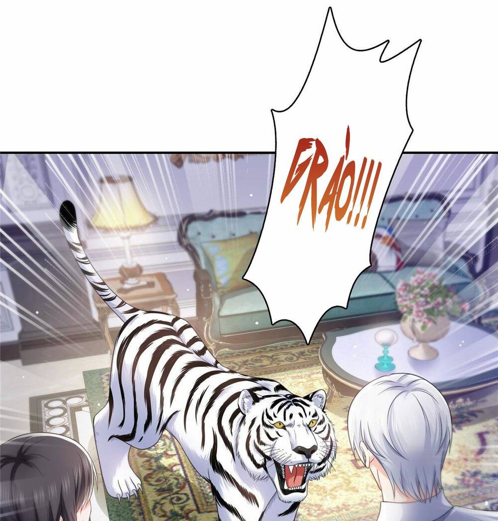 Hệt Như Hàn Quang Gặp Nắng Gắt Chapter 330 - Trang 40