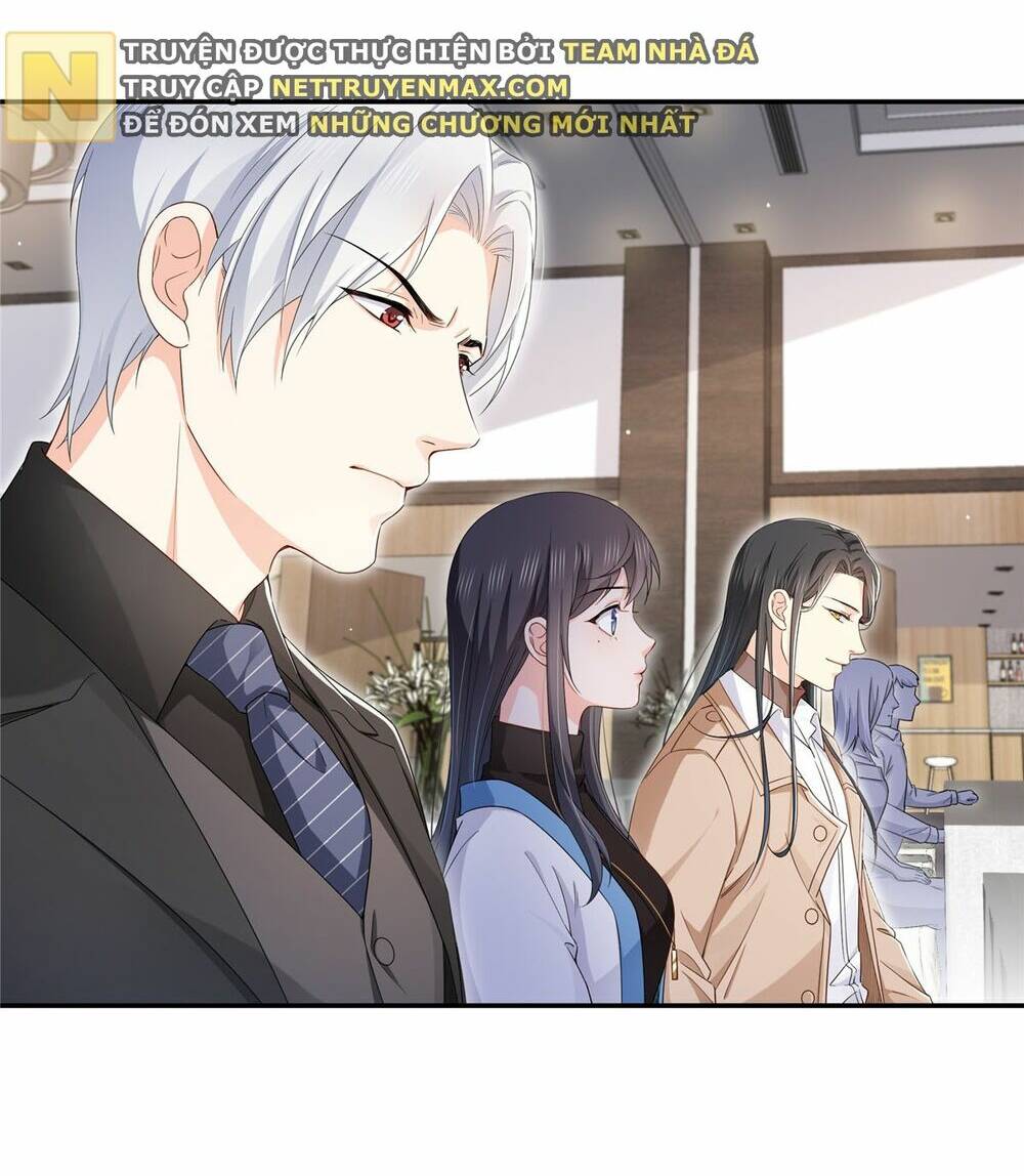 Hệt Như Hàn Quang Gặp Nắng Gắt Chapter 409 - Trang 4