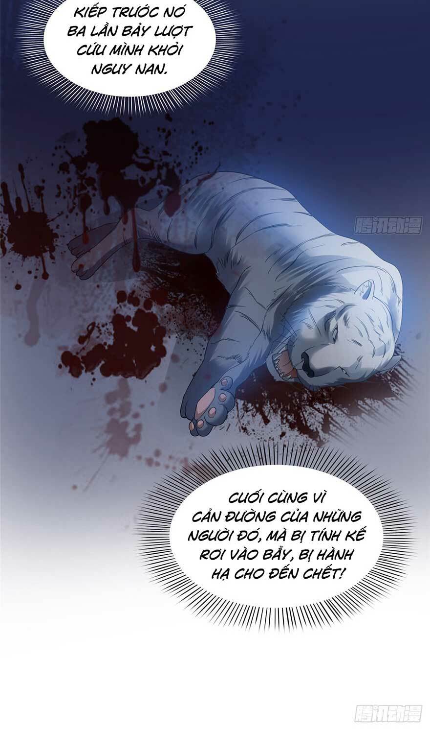 Hệt Như Hàn Quang Gặp Nắng Gắt Chapter 46 - Trang 18