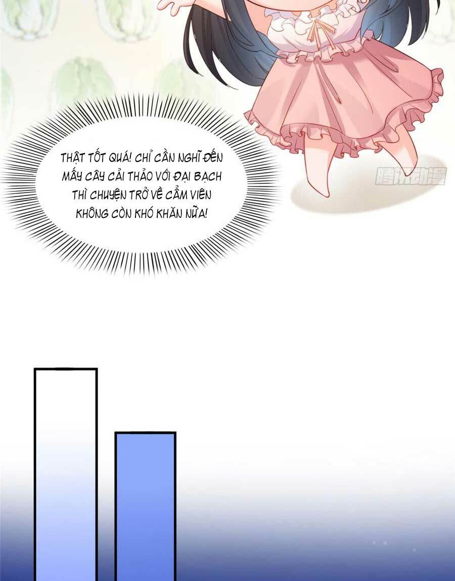 Hệt Như Hàn Quang Gặp Nắng Gắt - Chapter 61 - Page 14