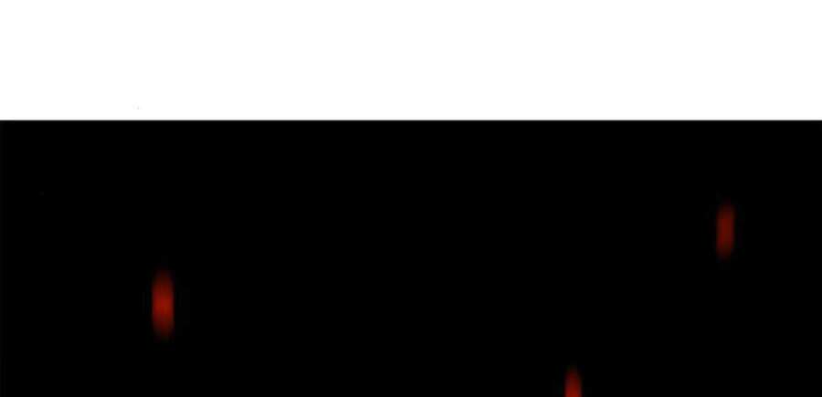 Thiên Ma Thần Quyết Trùng Sinh - Chapter 14 - Page 169