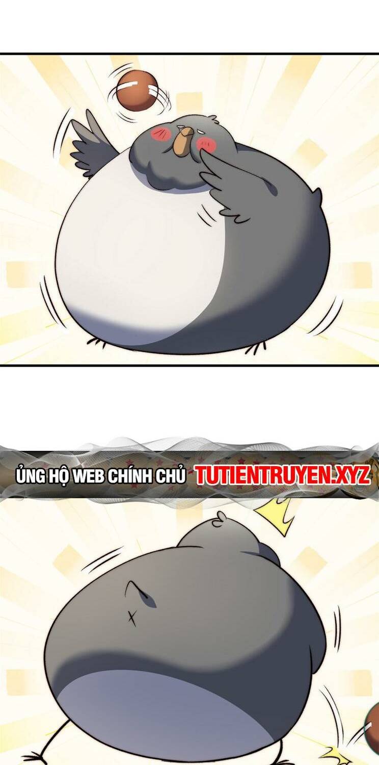 Đỉnh Cấp Khí Vận Lặng Lẽ Tu Luyện Ngàn Năm - Chapter 138 - Page 3