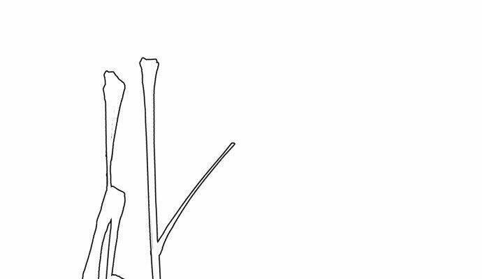 Cậu Bé Của Thần Chết - Chapter 3 - Page 55