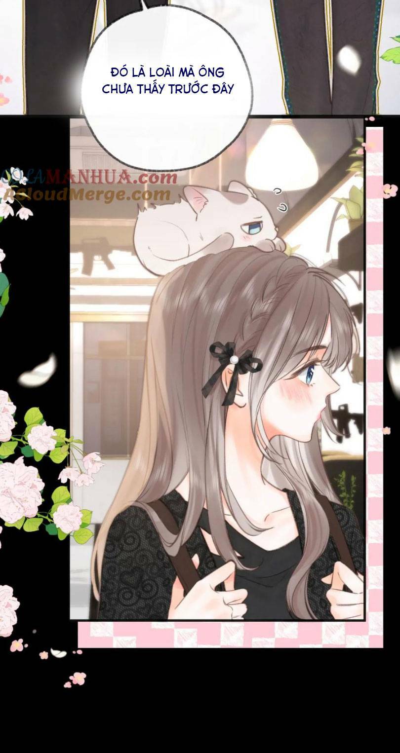 Tôi Mộng Giữa Ban Ngày - Chapter 29 - Page 31