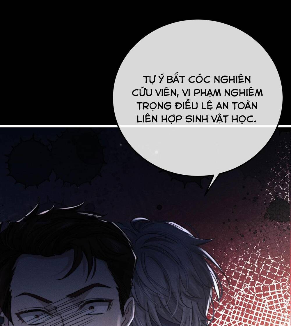 Chấp Sự Thỏ Cụp Tai - Chapter 10 - Page 9