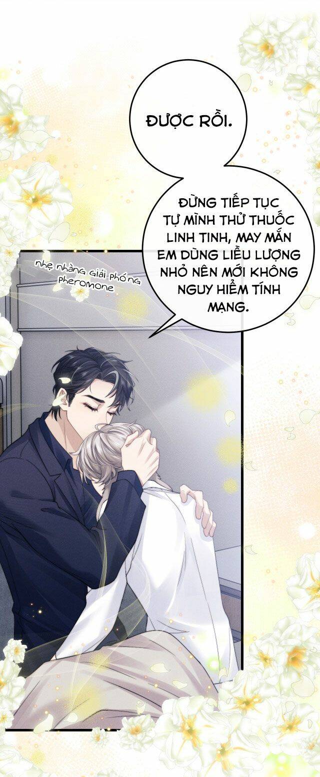 Chấp Sự Thỏ Cụp Tai - Chapter 11 - Page 13