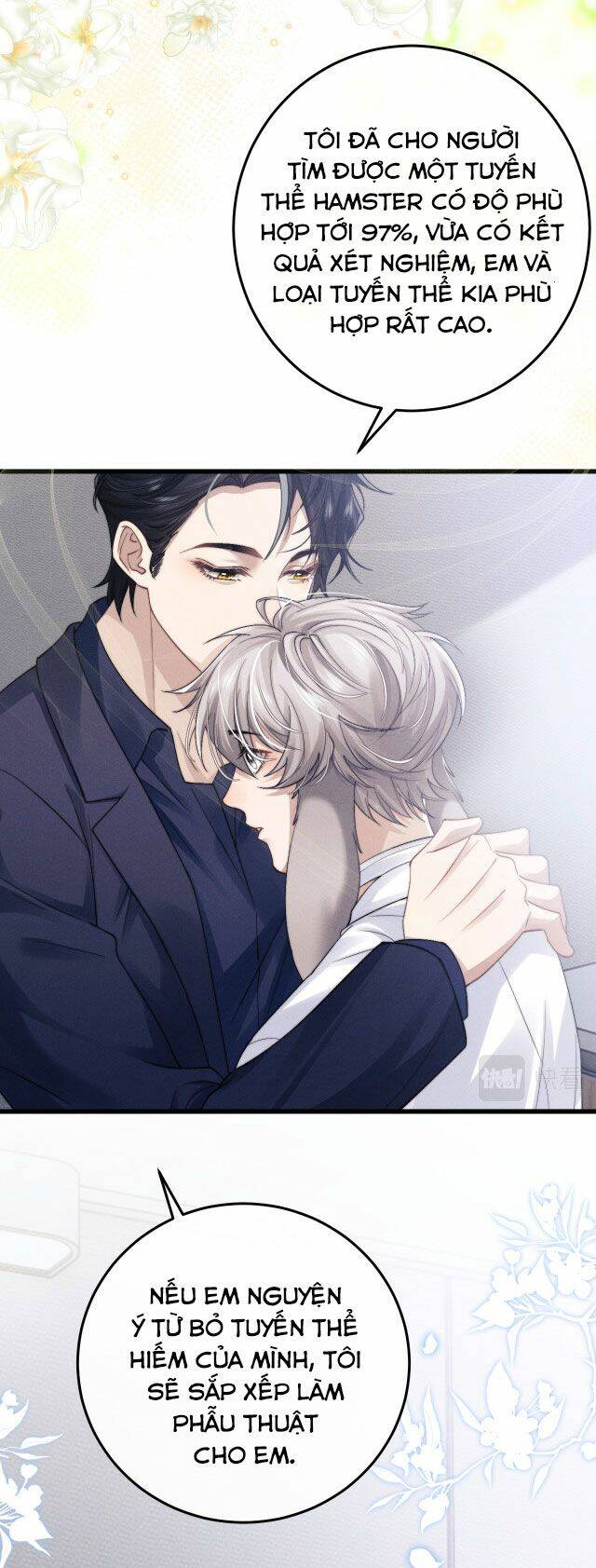 Chấp Sự Thỏ Cụp Tai - Chapter 11 - Page 14