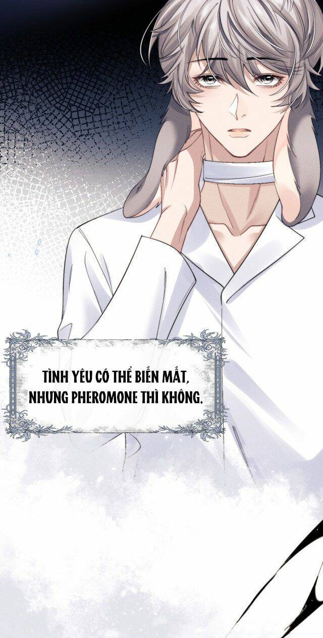 Chấp Sự Thỏ Cụp Tai - Chapter 11 - Page 27