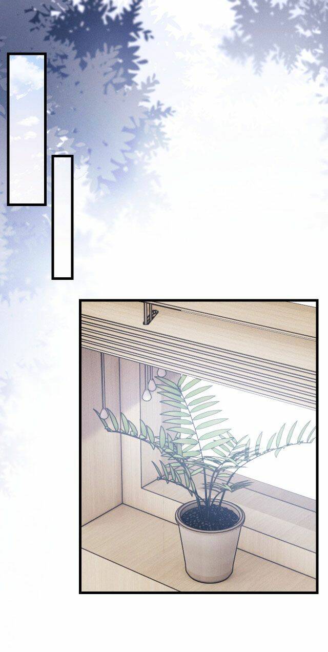 Chấp Sự Thỏ Cụp Tai - Chapter 11 - Page 34