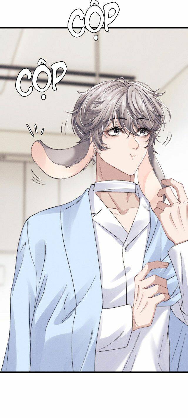 Chấp Sự Thỏ Cụp Tai - Chapter 11 - Page 37