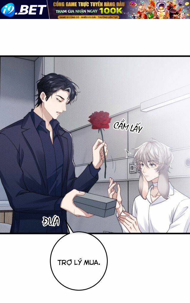 Chấp Sự Thỏ Cụp Tai - Chapter 11 - Page 3