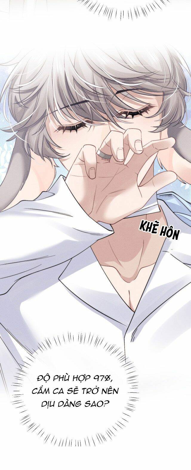 Chấp Sự Thỏ Cụp Tai - Chapter 11 - Page 43
