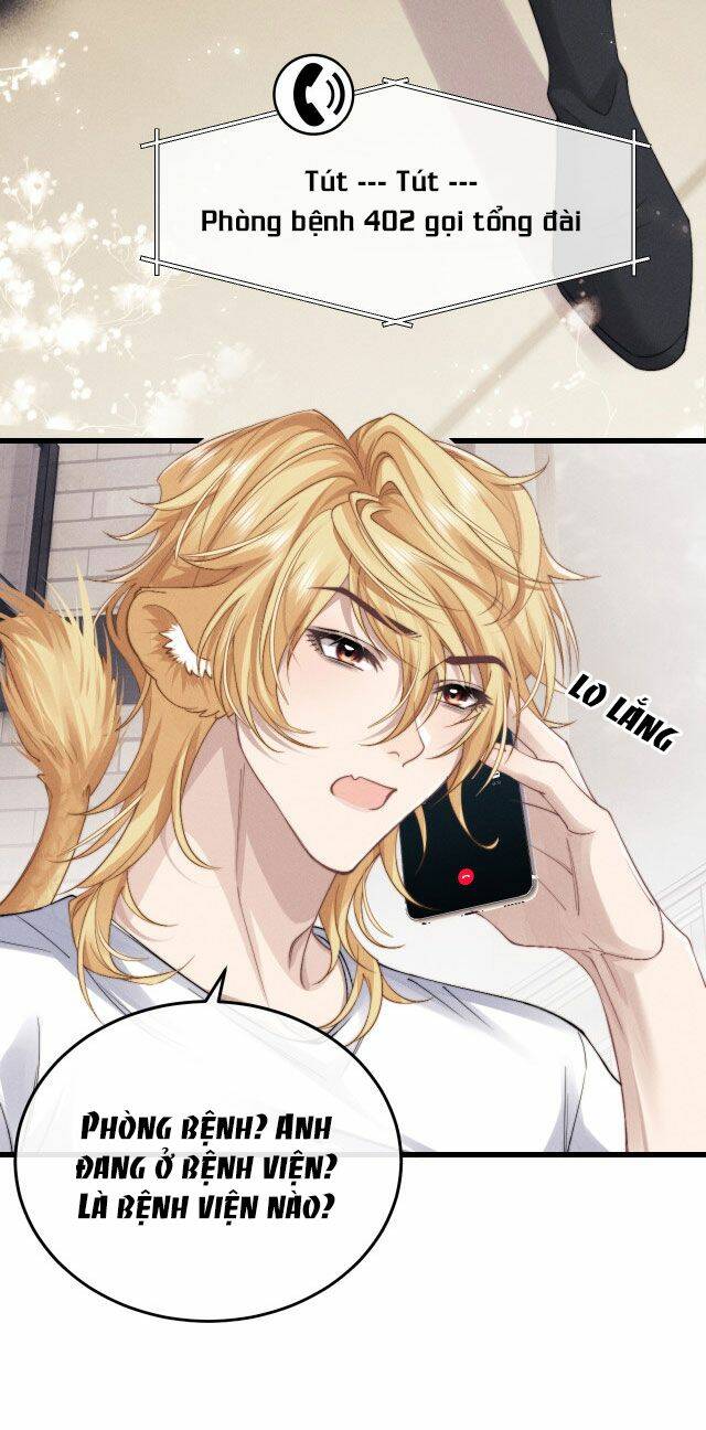 Chấp Sự Thỏ Cụp Tai - Chapter 12 - Page 37