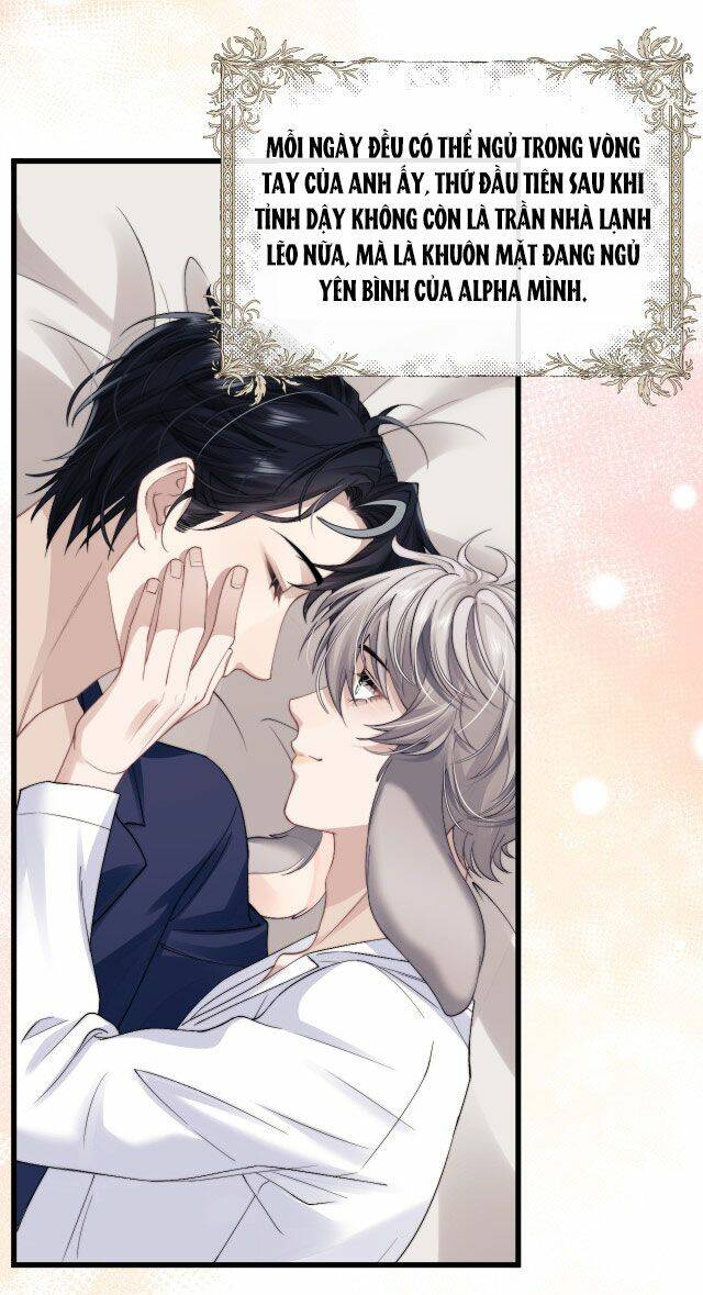 Chấp Sự Thỏ Cụp Tai - Chapter 12 - Page 3