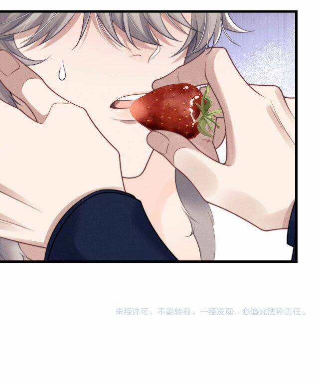 Chấp Sự Thỏ Cụp Tai - Chapter 12 - Page 42