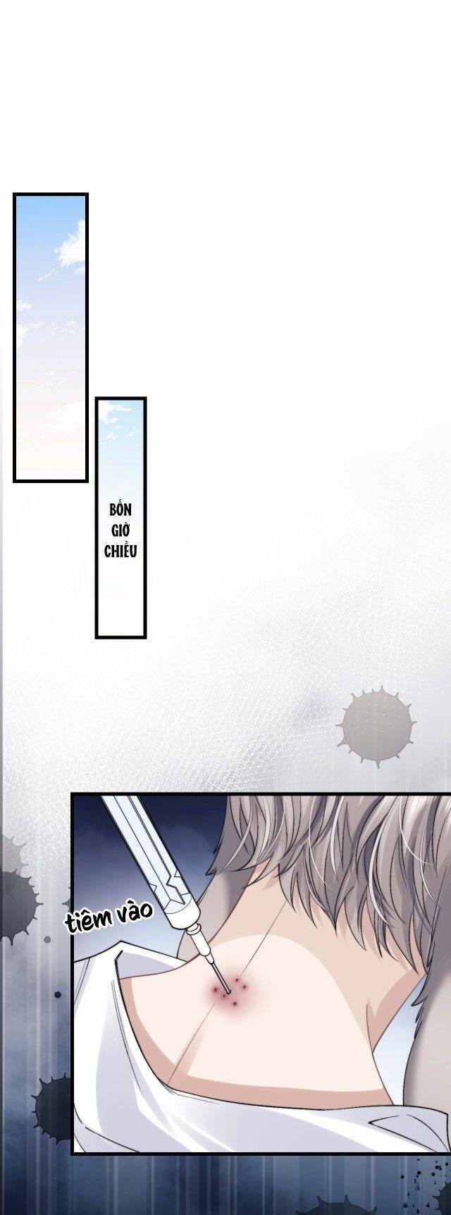 Chấp Sự Thỏ Cụp Tai - Chapter 12 - Page 7