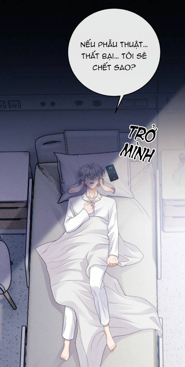 Chấp Sự Thỏ Cụp Tai - Chapter 13 - Page 10